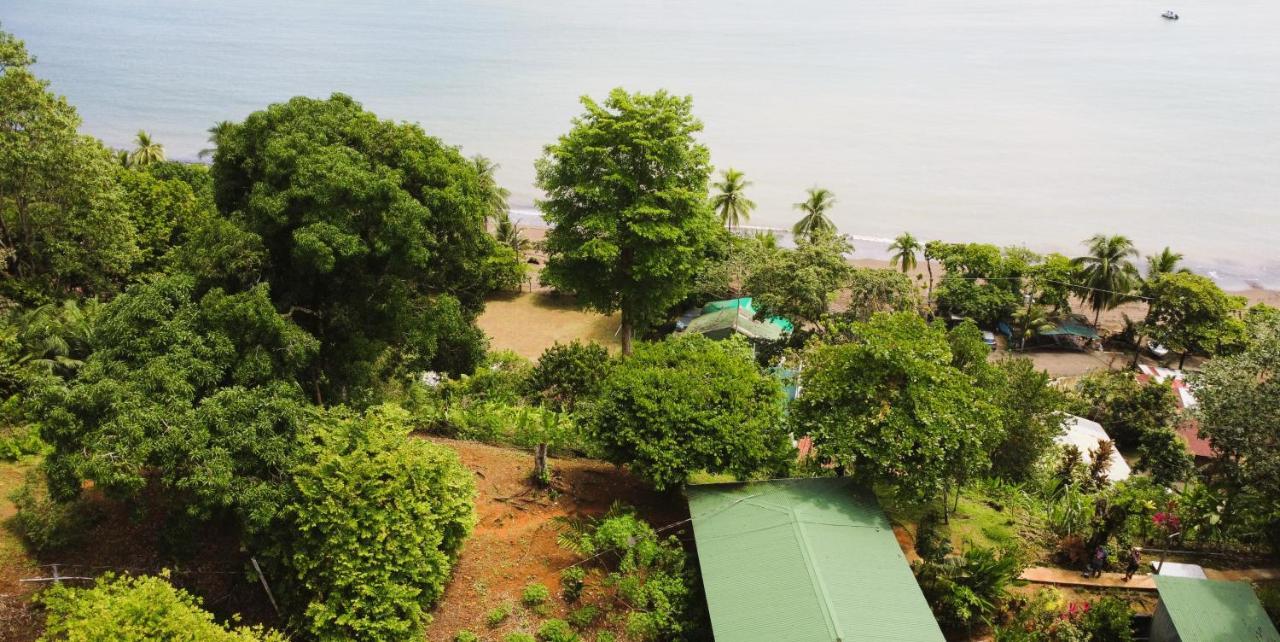 Cabana Ara Macao Lodge Drake Bay Ngoại thất bức ảnh