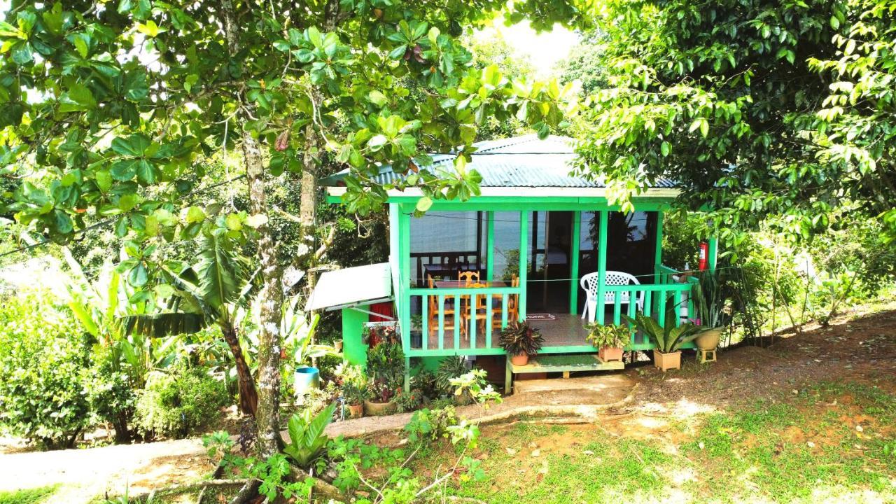 Cabana Ara Macao Lodge Drake Bay Ngoại thất bức ảnh
